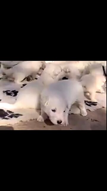 FINDING CONTENTMENT - DAILY DEVOTIONAL ❤️