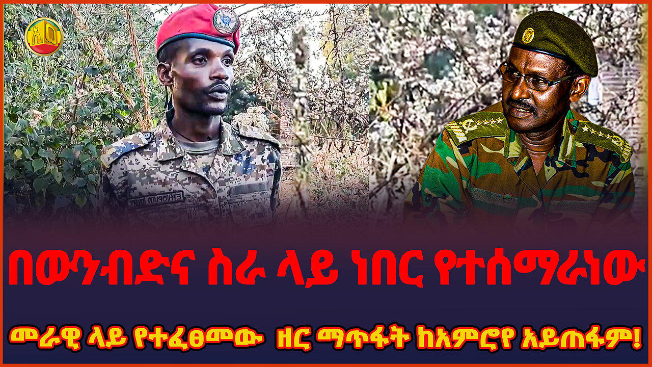 Ethiopia : በውንብድና ስራ ላይ ነበር የተሰማራነው መራዊ ላይ የተፈፀመው ዘር ማጥፋት ከአምሮየ አይጠፋም! || Ethio online
