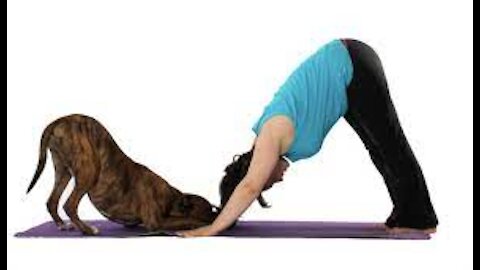 Yoga with Puppy , Dog Yoga - Like and Subscribe