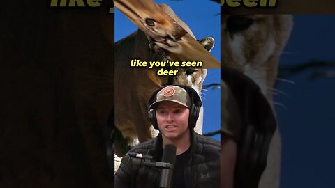 Eating Mountain Lion? Joe Rogan and Adam Greentree #JRE #1224