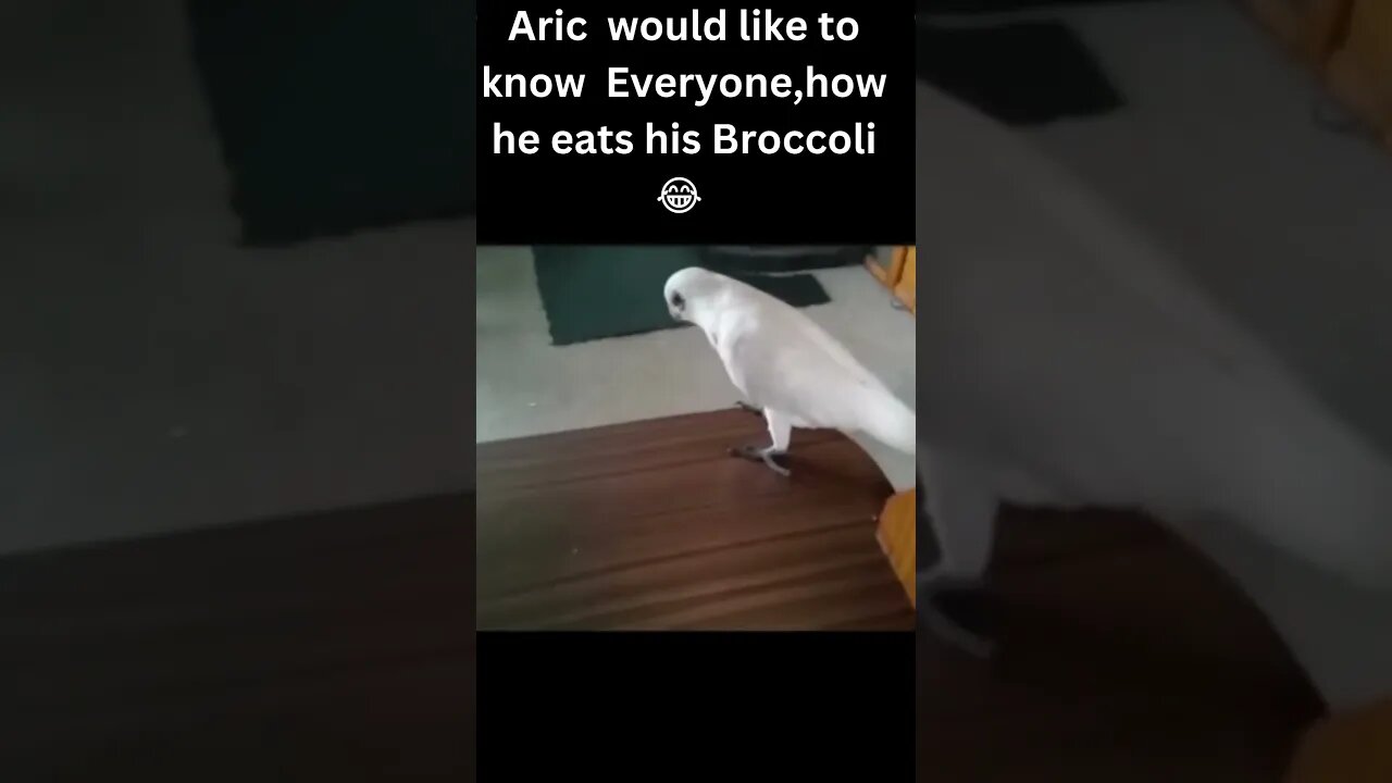 Angry Parrot Eating 😂 #parrot #shorts