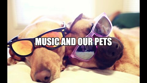 Music and our pets