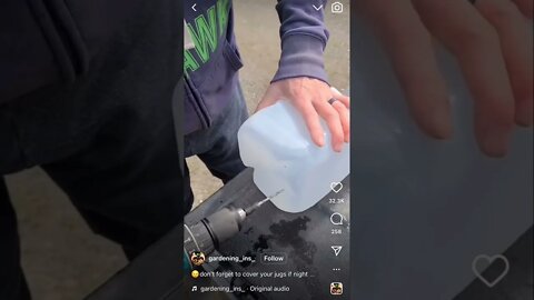 A cool way of Gardening