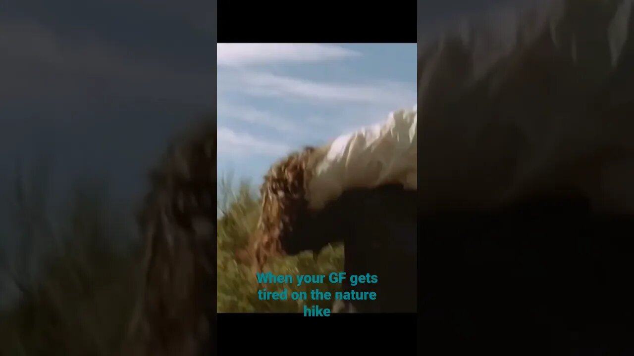 She will beat me for this one...