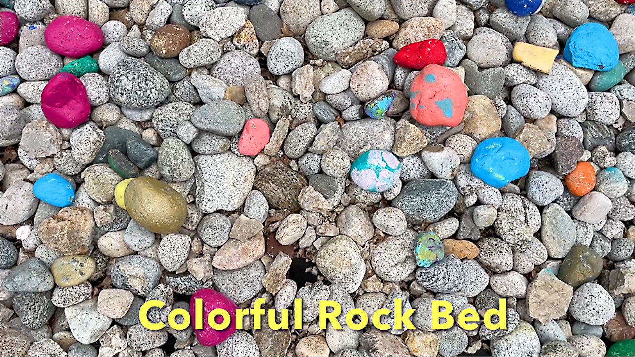 Colorful Rock Bed