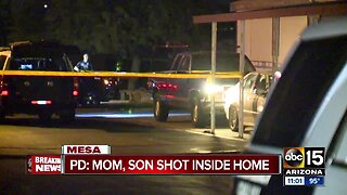 Mother, son found dead in Mesa home