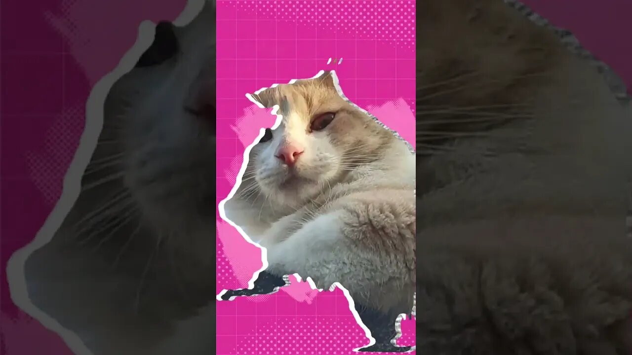 MEU BB