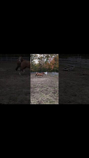 The boys are excited to eat!