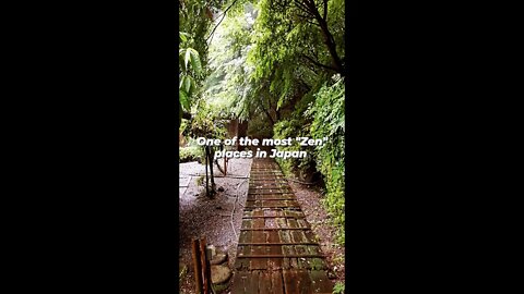 Rain on Japanese Zen Hot Spring #japan #zen #shorts