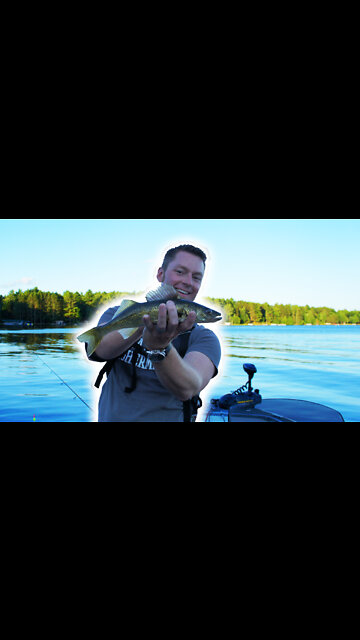 Minocqua Wisconsin Leech Walleye Fishing