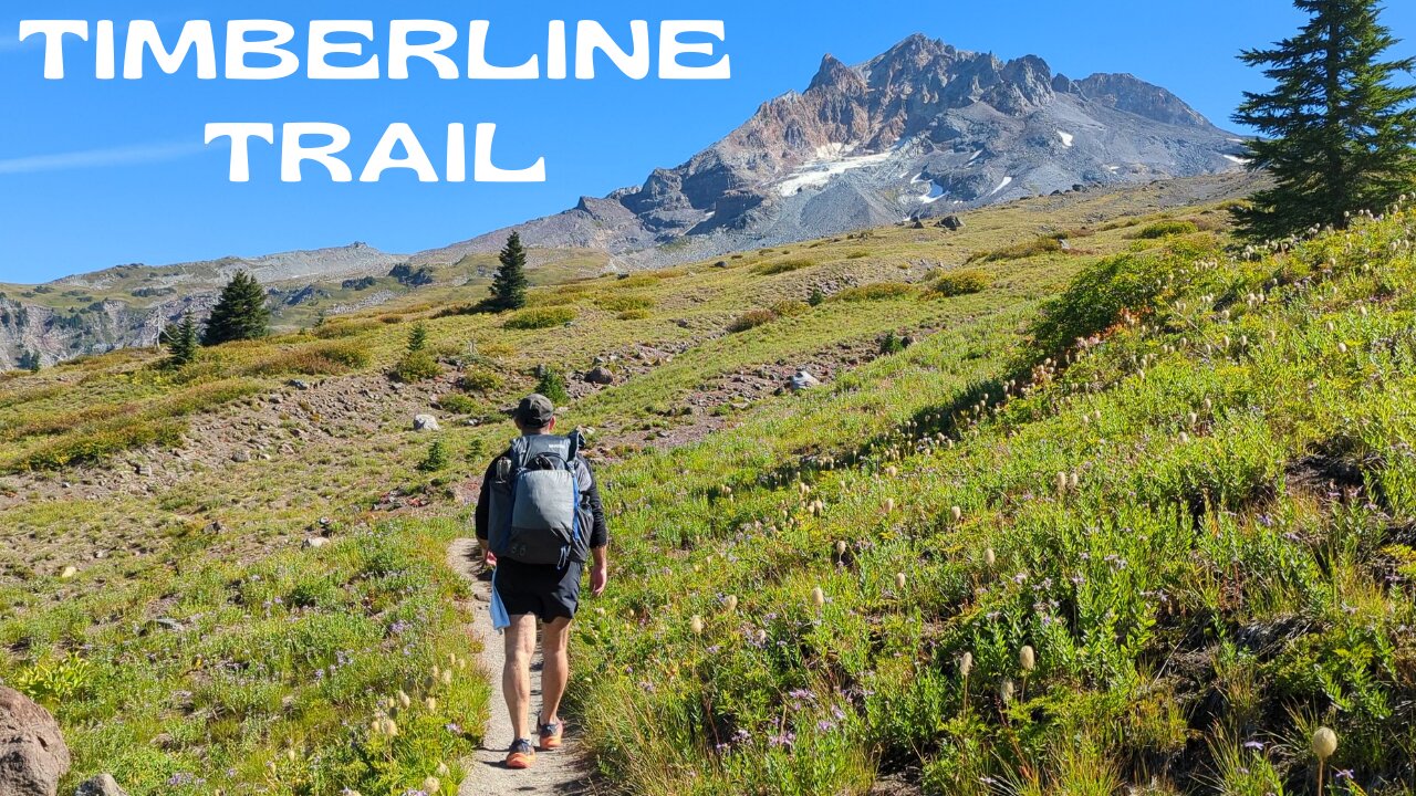 Hiking 40 Miles ALONE Around Mt Hood | Timberline Trail | Oregon