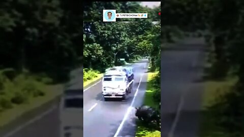 Rinoceronte bate com caminhão e nada acontece com ele