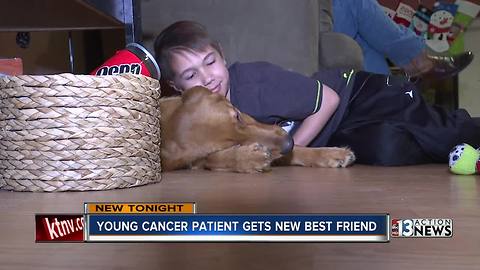 Young cancer patient gets new best friend