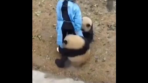 Relatives' children 😂😂🤣🤣