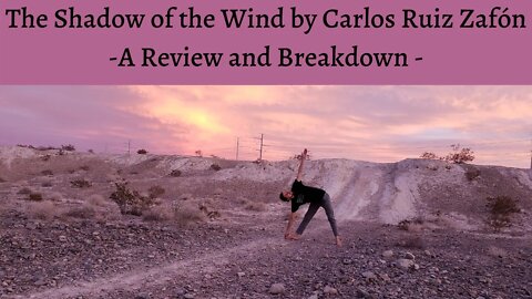 The Shadow of the Wind by Carlos Ruiz Zafón: Review and Breakdown