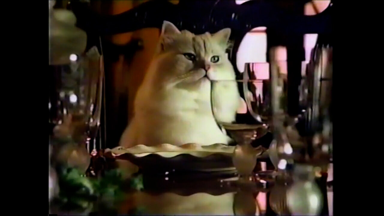 March 14, 1988 - A Cat Receives the Royal Treatment
