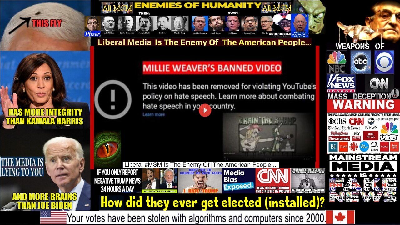 MILLIE WEAVER'S BANNED VIDEO