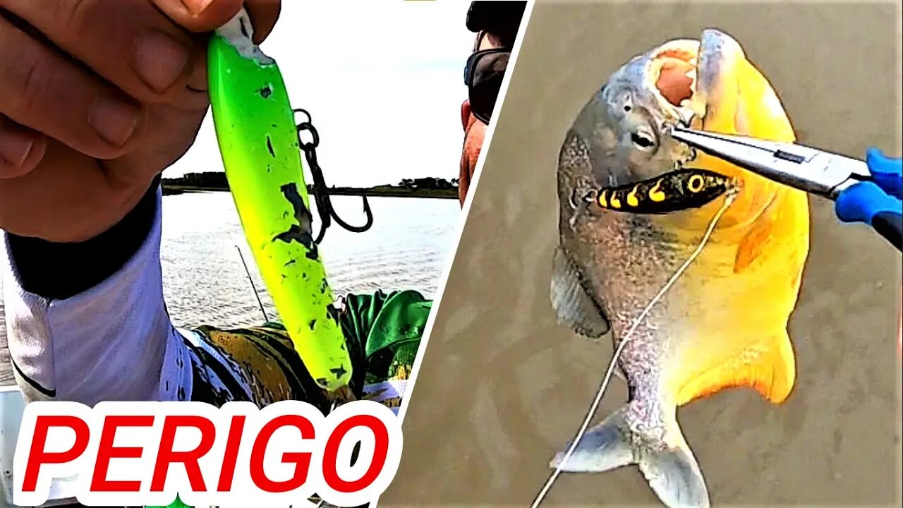 ELAS DESTROEM TUDO COM SEUS PODEROSOS DENTES!!! Pescaria de Piranhas - Rio Corrientes - Argentina