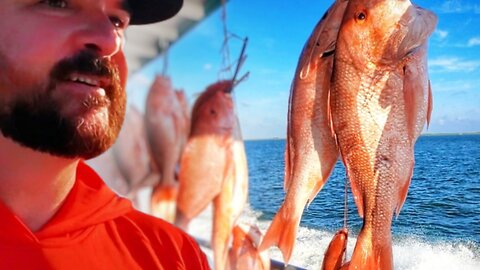 The Snapper Trip EVERYONE Should Try Once... a Fishing Vlog