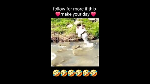 funny videos 🤣🤣🤣