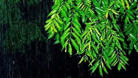 Rain - fall asleep with relaxing , calm and heavy rain sound