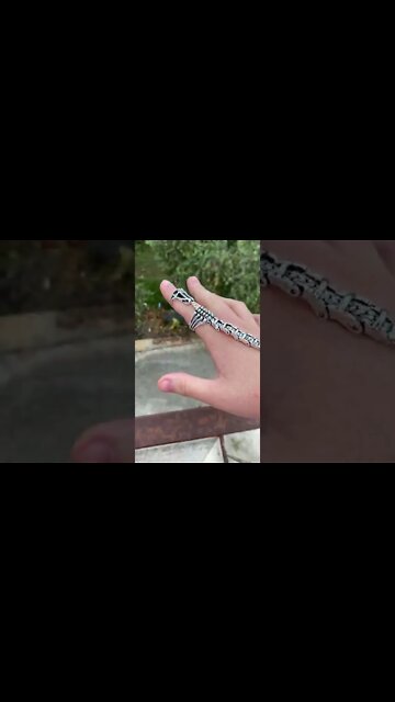 #shorts #2022 funny,prank,funjokes,dad jokes,funny memes,funny video,fun,laughing,funny animal,knock