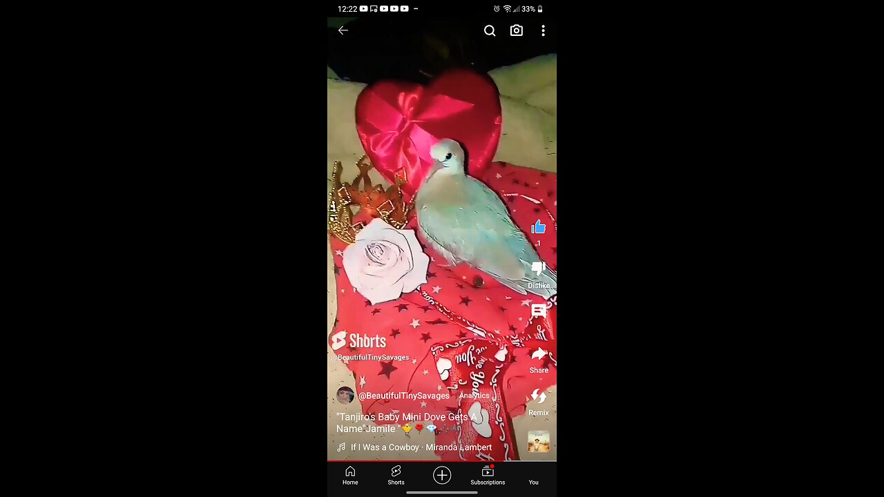"Beautiful Mini Dove"Jamile "Tanjiro's π₯ Mini Dove π₯ποΈπΌπΆ