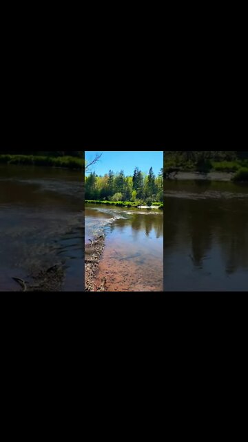 Chill water at Bonshaw Hills