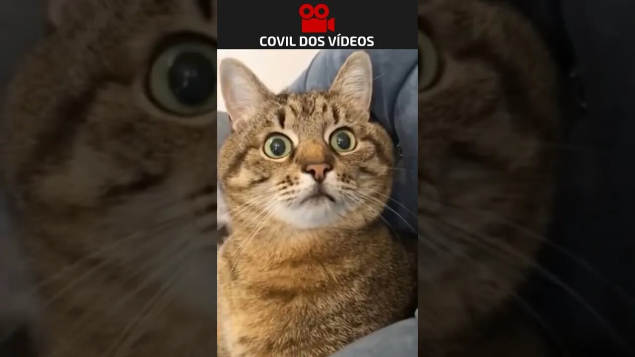 amor a primeira vista 😂😂😂