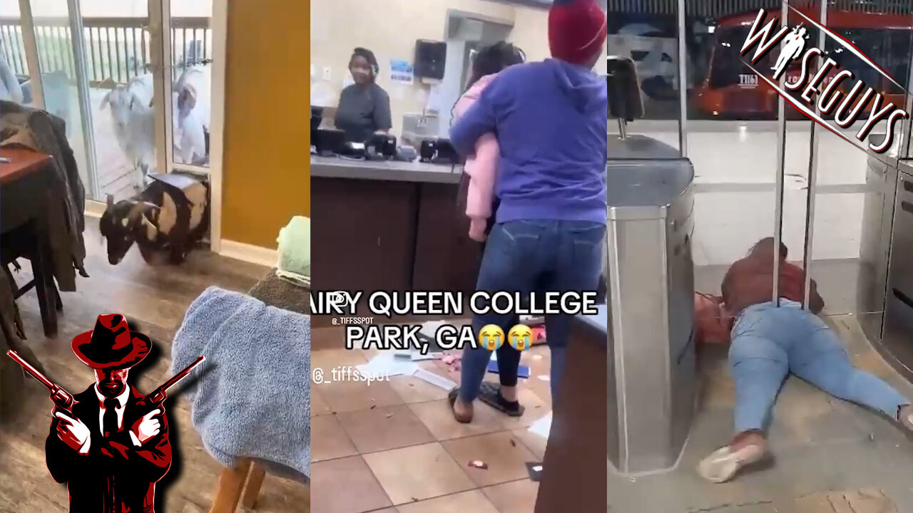 Daily crazy and funny video compilation found on X-Twitter 92 #funnyvideo #funnymoments #viralvideo