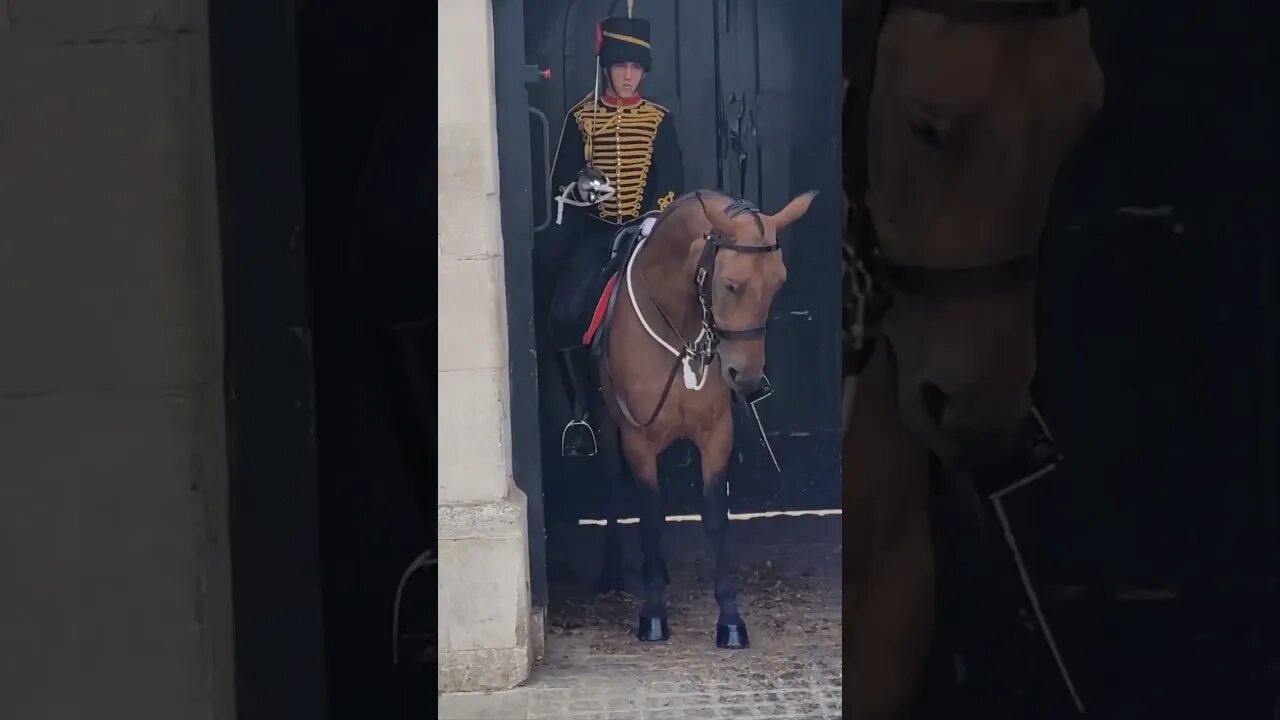 The Queen's Guards Horse slips and falls' down #horseguardsparade