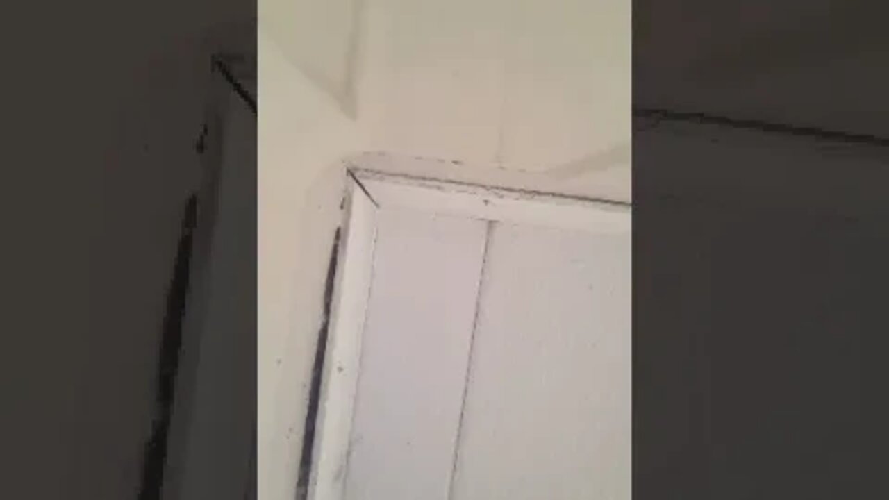 Two weeks of cold showers part 14 shower 13