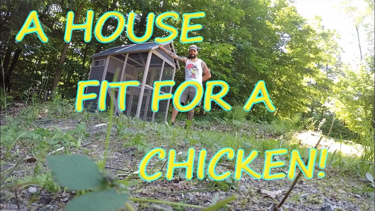 Assembling a $500 chicken coop