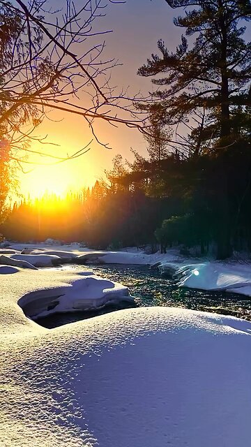 Escape the chaos, find solace in the melody. 🎶✨ #RelaxationZone #PeacefulVibes #restsound