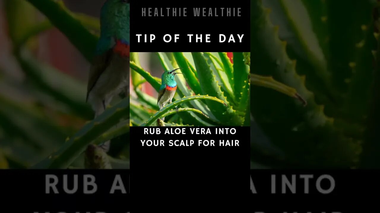 The Best Healing Herbs You Should Know || #health || #shorts || #herbs