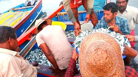 THIS IS HOW THE FISH IS TAKEN FROM THE FISH HARBOUR🔥🔥ഇങ്ങനെയാണ് നിങൾ മീൻ കറി കൂട്ടി ചോർ ഉണ്ണുന്നത്