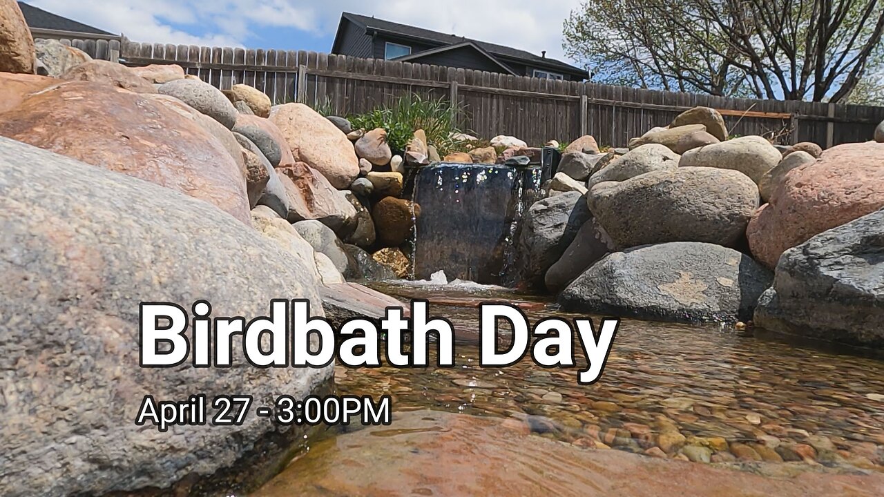 Birdbath Day, Condensed Version 4/27/23