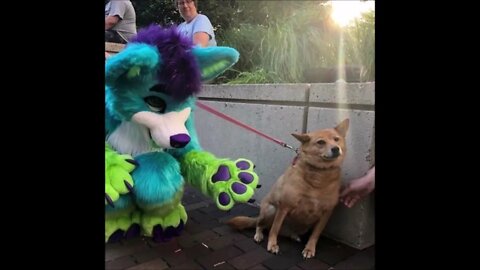 Colsplays e Fantasias Mais Bizarras Que Você Nunca Viu