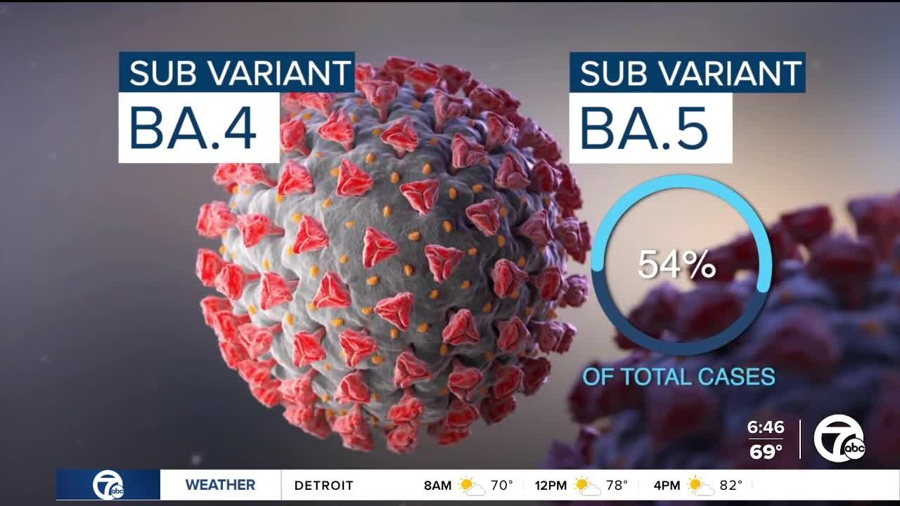 Look at the impact of the new omicron subvariants after July 4 holiday