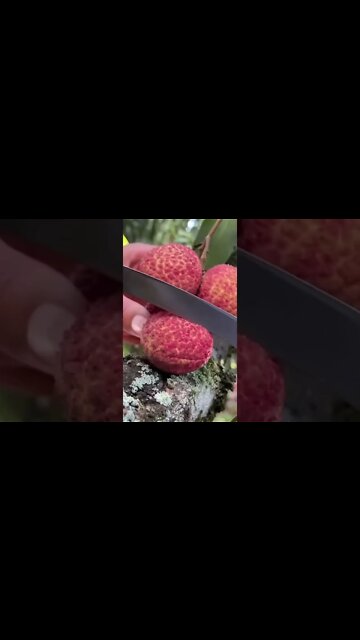 #drivingfails #shorts