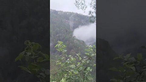 शायरी