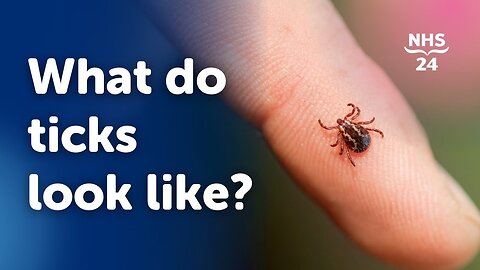 How to Prevent Tick Bites