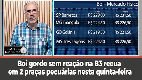 Boi gordo sem reação na B3 recua em 2 praças pecuárias nesta quinta-feira