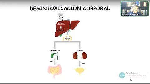 NATUROPATÍA 41 - HÍGADO DETOX - NICOLÁS BARRIOS