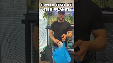 BUYING NEW FISH AT FISH PLANET #aquarium #fishtank #bettafish #tropicaltank #ranchugoldfish