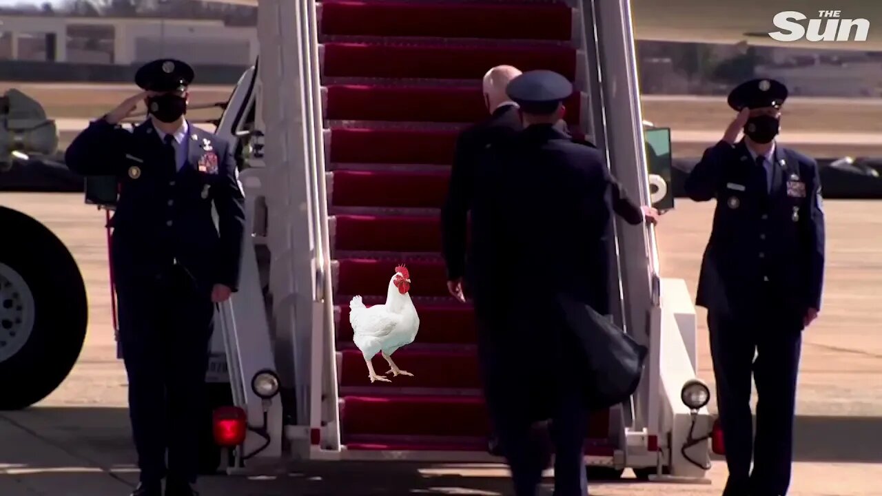 President Joe Biden chasing a chicken