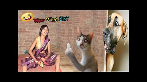 0:01 / 8:35 So funny cute ❤ dogs 🐶 and cats 🐱 part 1