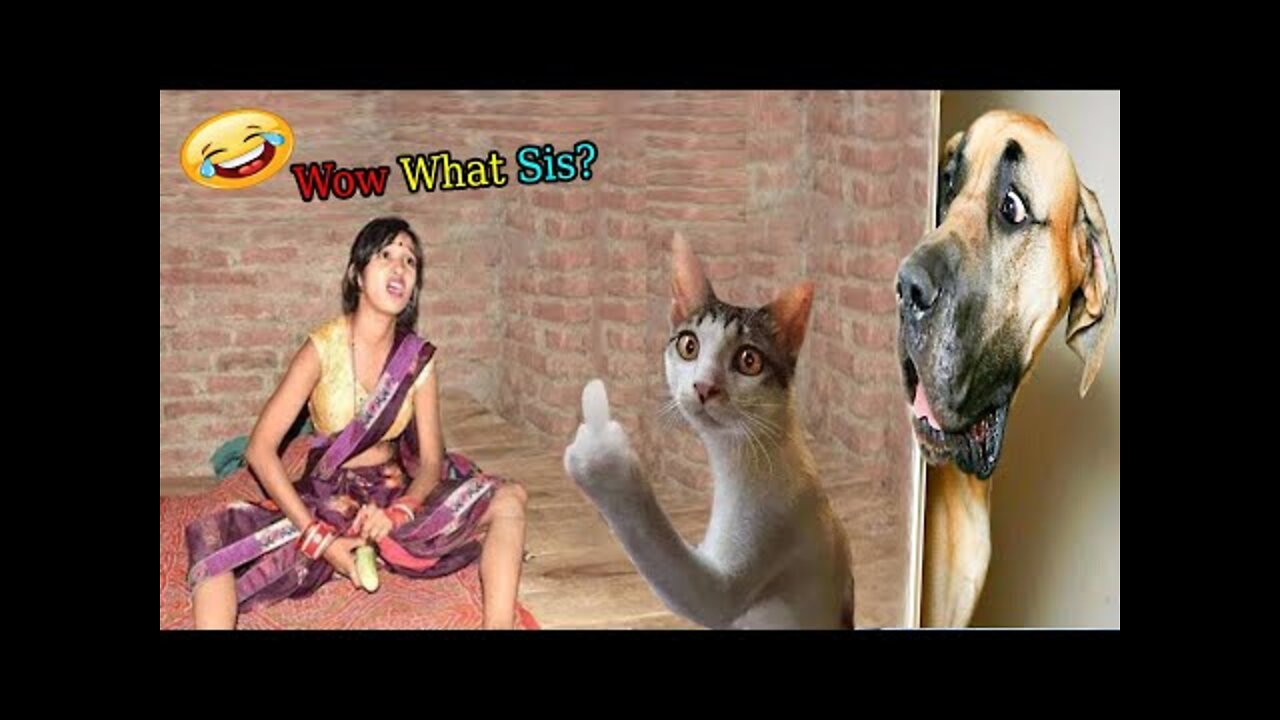 0:01 / 8:35 So funny cute ❤ dogs 🐶 and cats 🐱 part 1