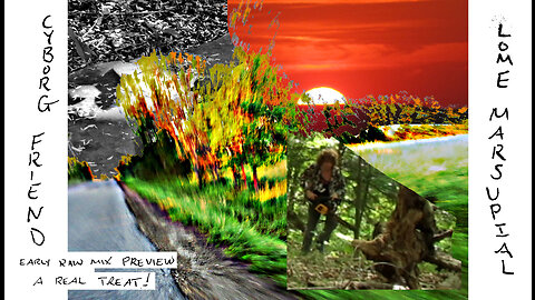 Cyborg Friend marginal radio friendly rock&roll4 functional moral upstanding go along to getalongers
