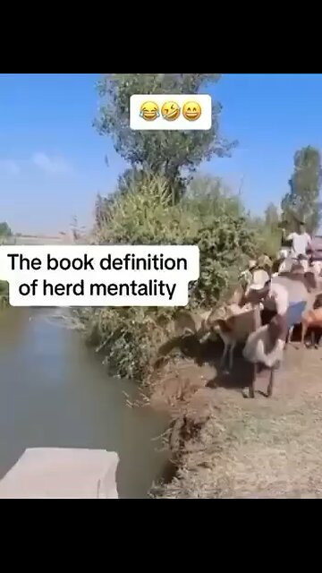 משרד הבריאות אישר את חיסון הקורונה המעודכן!!‏ רוצו להתחסן! 💉